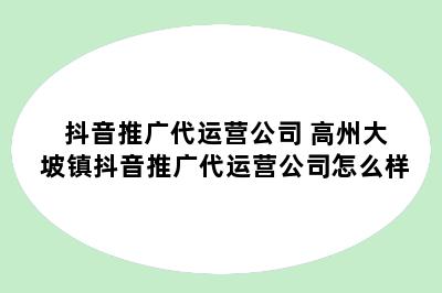 抖音推广代运营公司 高州大坡镇抖音推广代运营公司怎么样